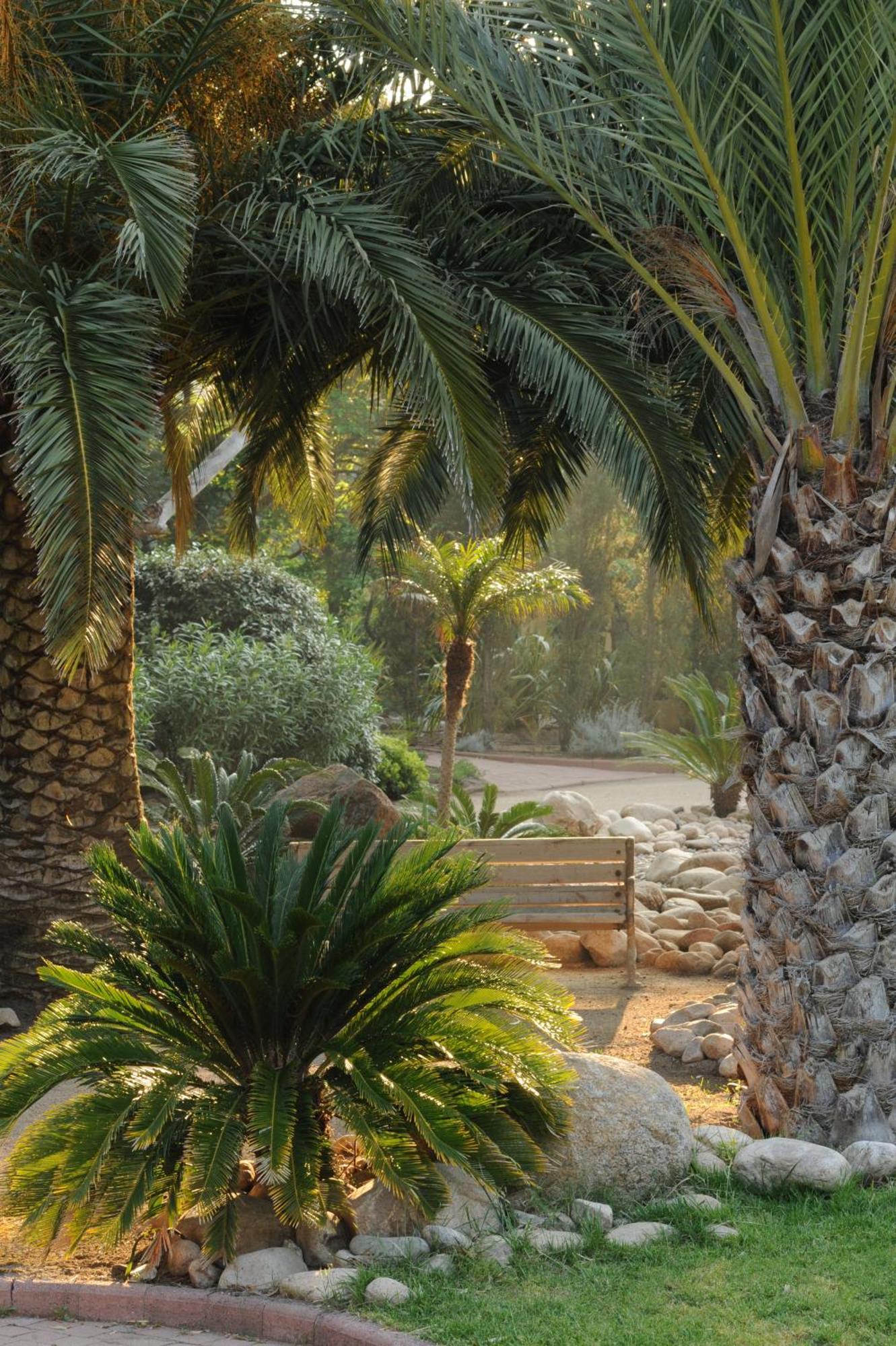 Le Belvedere Hotel Porto-Vecchio (Corsica)